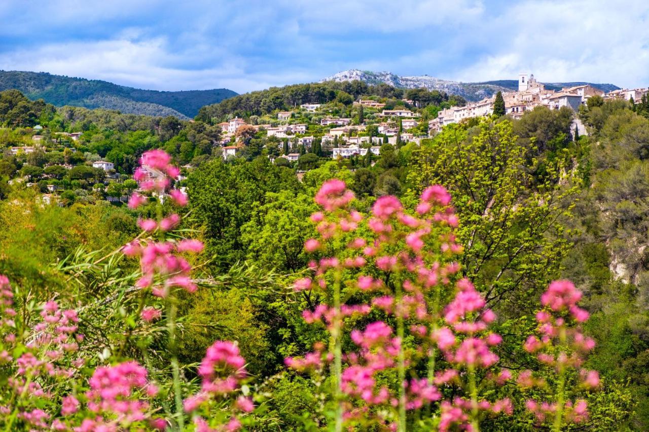 Bas De Villa, Piscine, 3 Etoiles Saint-Paul-de-Vence Dış mekan fotoğraf